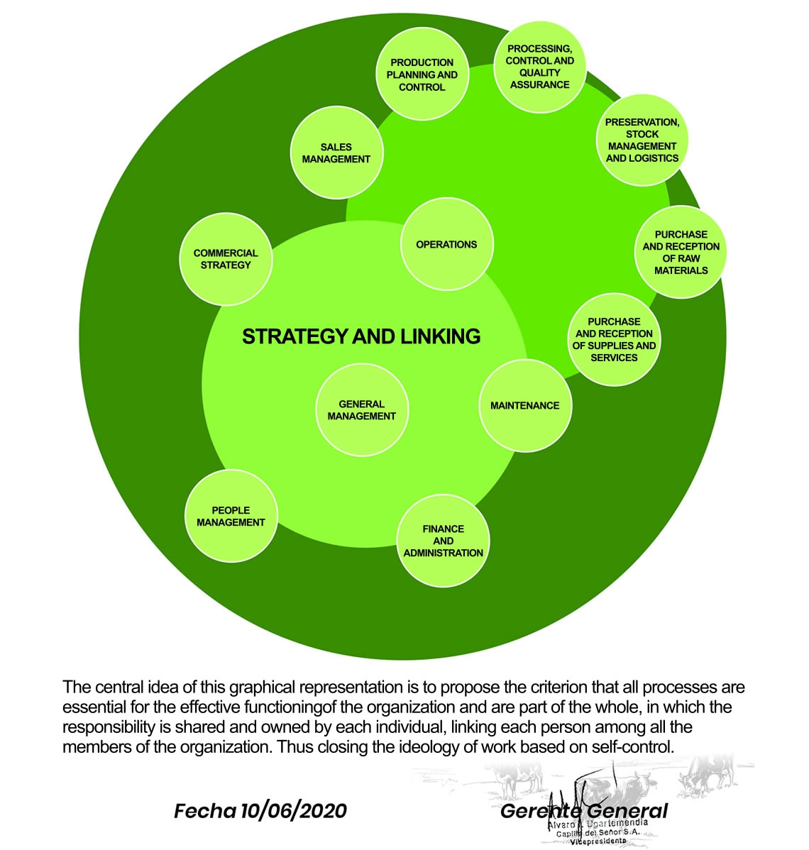 ESTRUCTURA ORGANIZACIONAL.