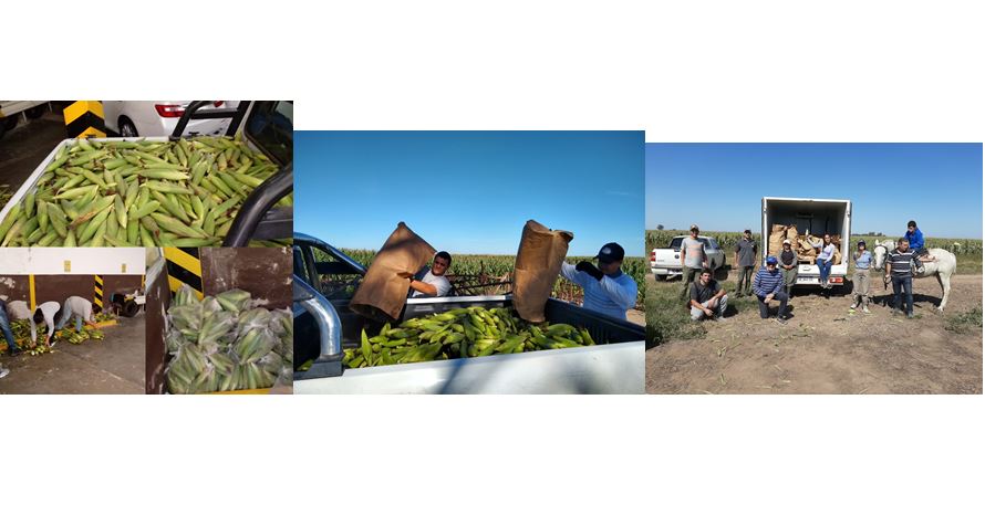 Lanzamos la 1° campaña “Chocleada Solidaria”
