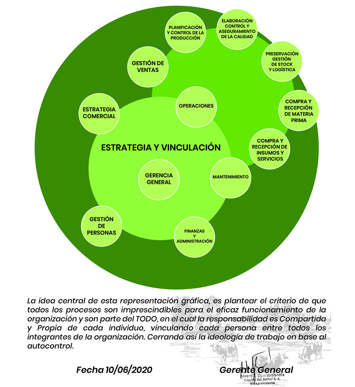 ESTRUCTURA ORGANIZACIONAL.